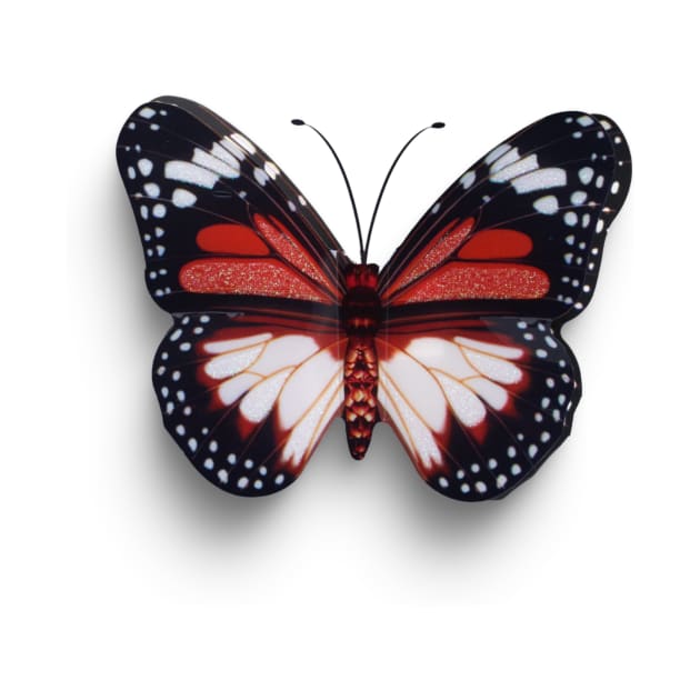 Digital Colourful Butterfly by Ken Adams Store