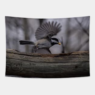 Chickadee and Peanut. Tapestry