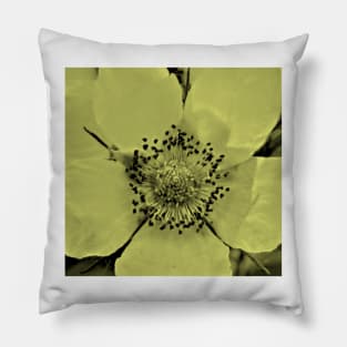 Glacier National Park, flower tint Pillow