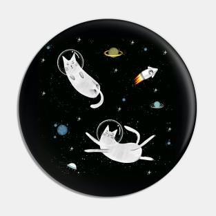 Cats in space. Pin