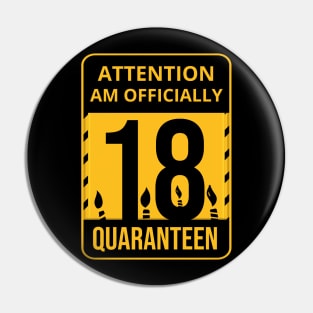 18th Birthday Officially a Quaranteen teenager 18 Years Old Pin