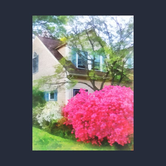 Spring - Magenta Azaleas in Garden by SusanSavad