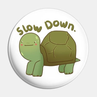 little turtle slow down Pin