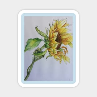 Sunflower watercolor painting Magnet