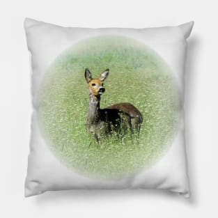 Doe Pillow