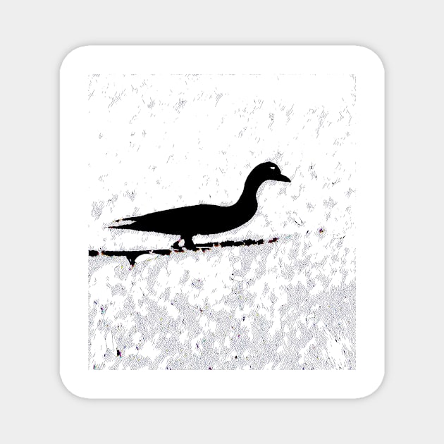 Frozen Duck Duck Shadow Magnet by Tovers