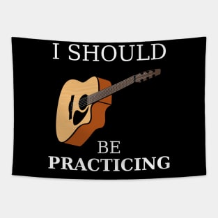 I Should Be Practicing Guitar Tapestry