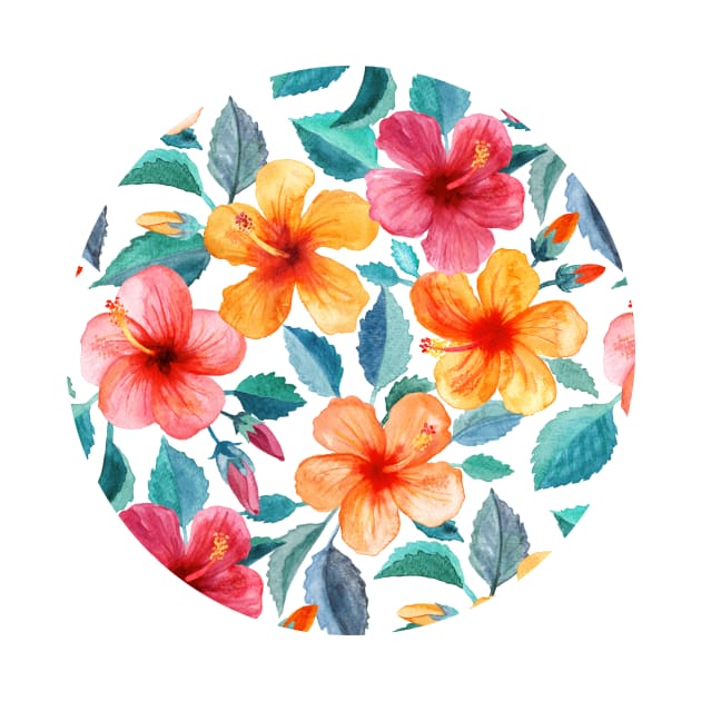 Colorful Watercolor Hibiscus on Clean White by micklyn