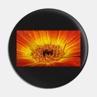 glowing bright coloured  gazania floral fantasy Pin