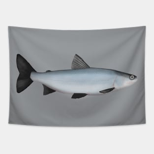 Sardine Cisco Tapestry