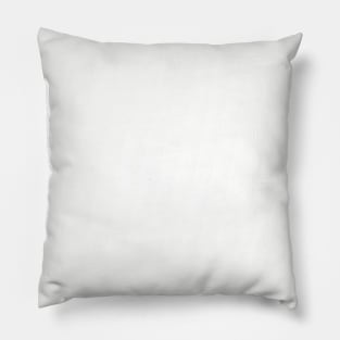 Florida HOME Pillow