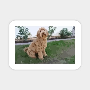 Labradoodle Digital Painting Magnet