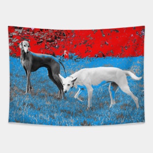 Dogs 13 / Swiss Artwork Photography Tapestry