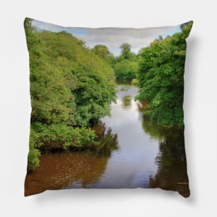 River Almond II Pillow