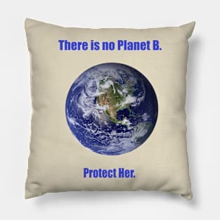 Earth Pillow