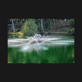 Fountain at Na 'Aina Kai Botanical Gardens & Sculpture Park T-Shirt