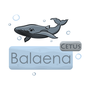 Whale Cetus Balaena T-Shirt