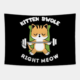 Funny Lifting Right Meow Cat Shirt, Workout Gym Kitten swole right meow Tapestry