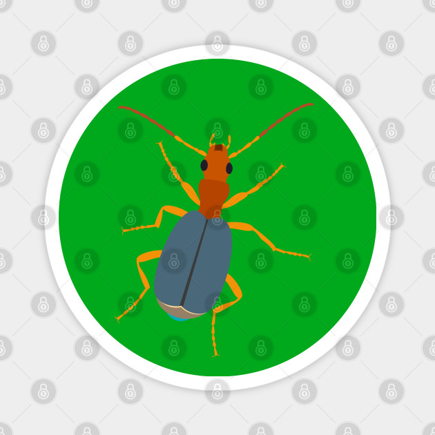 Bombardier Beetle Beetle Magnet Teepublic Richard dawkins tackles the bombardier beetle. teepublic