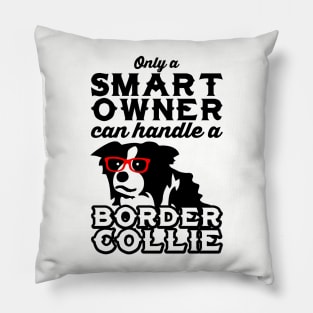 Smart Owner, Smart Dog Pillow