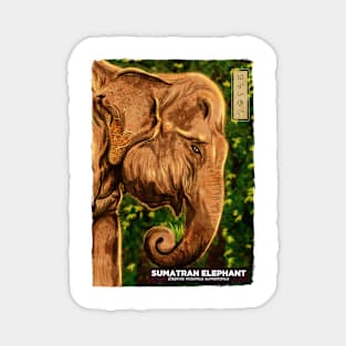 Sumatran Elephant - White Magnet