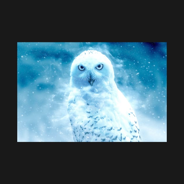 Owl Bird Animal Wildlife Forest Nature Flight Digital Painting by Cubebox