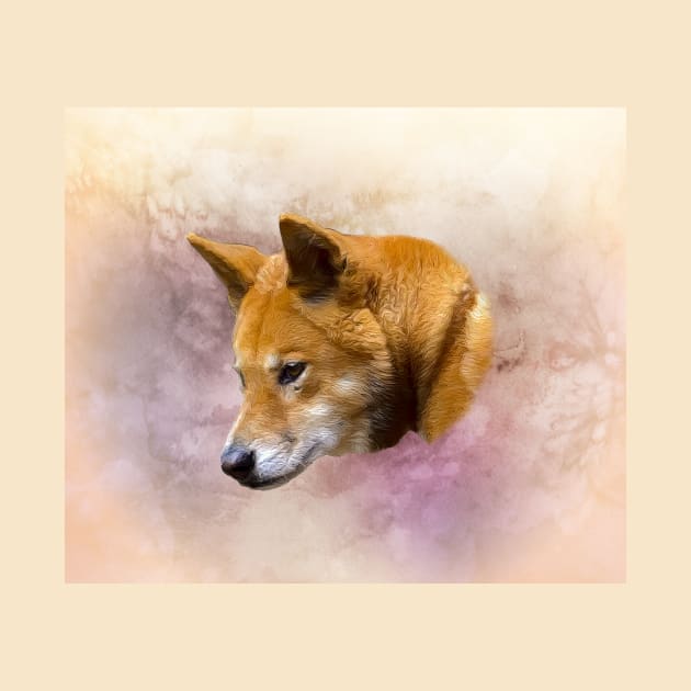 Dingo by Guardi