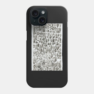 Organic Remains Phone Case