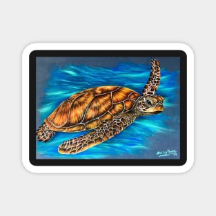 Sea Turtle In the Deep Blue Sea Magnet