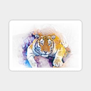 Tiger Wild Animal Safari Africa Jungle Feline World Nature Earth Magnet