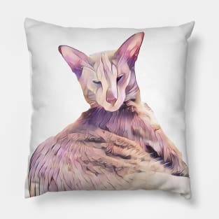 Siamese Cat Pillow