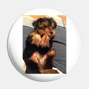 Cute Yorkie Puppy Pin