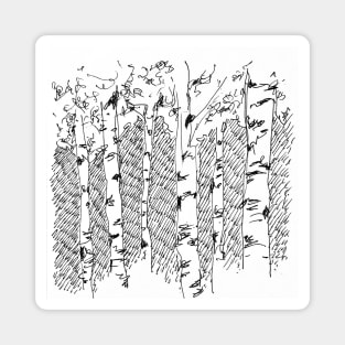 silver birch copse sketch hand drawn traditional art Magnet