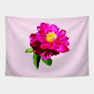 Magenta Peony in Sunshine Tapestry