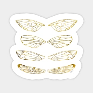 Insect Wings - Antique Gold - Butterfly, Moth, Cicada, and Dragonfly Magnet