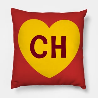 Chapulin Pillow