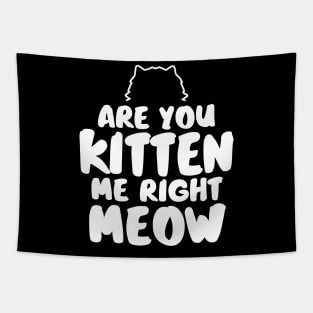 Are You Kitten Me Right Meow Tapestry