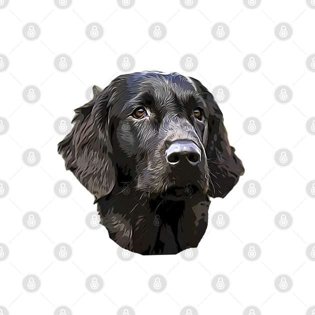 Flat Coated Retriever by ElegantCat