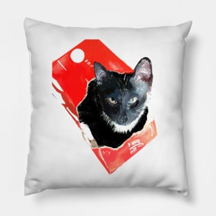 Cola Cat Pillow