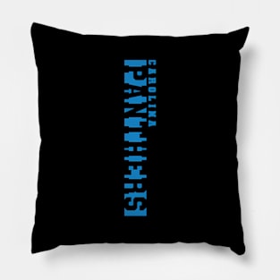 Panthers Pillow