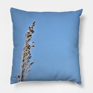 Pampas Grass Head Pillow