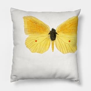 Yellow Butterfly Pillow