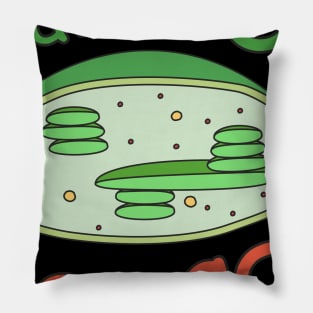 make O2 NOT CO2 chloroplast Pillow