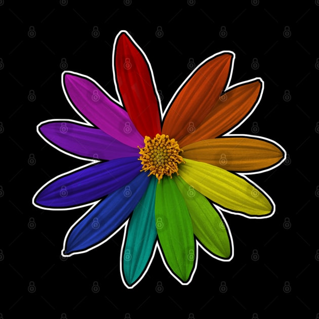 Flower Color Wheel Rainbow by Pinkazoid