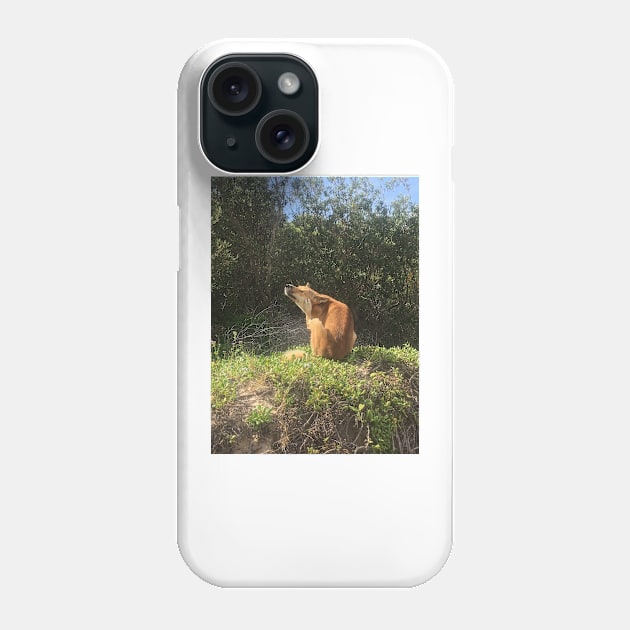 Australian dingo scratching Phone Case by Captain-Jackson