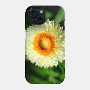 A dash of floral colour Phone Case