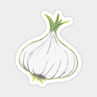 Head of Garlic Magnet