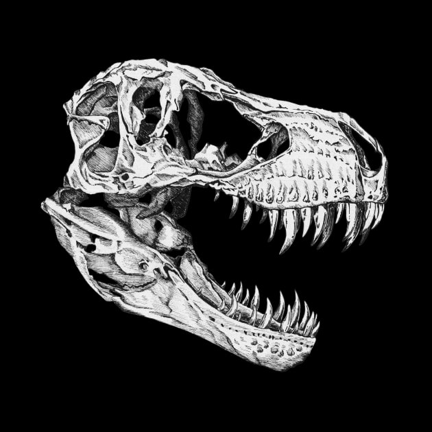 T-Rex Skull by Tinker and Bone Studio