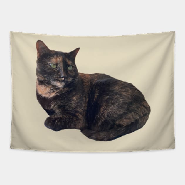 Tortie Cat Tapestry by Amanda1775