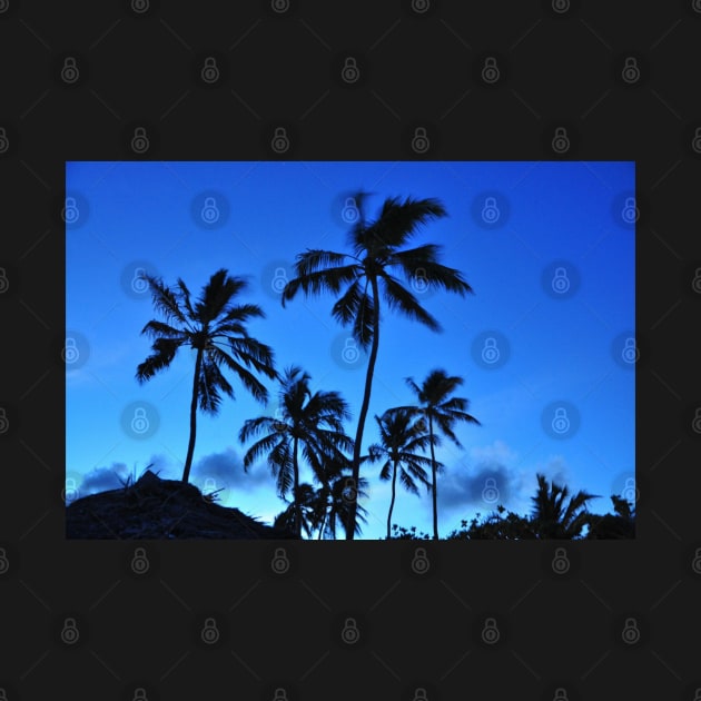 Hawaiian coconut trees by Coreoceanart